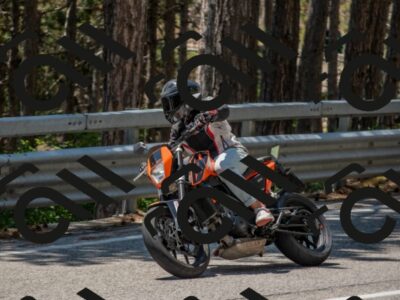 202507191308-DSC_7814_c4_