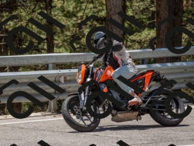 202507191308-DSC_7815_c4_