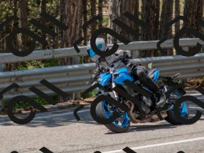 202507191308-DSC_7816_c4_