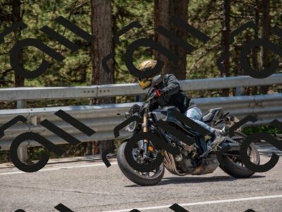 202507191308-DSC_7824_c4_