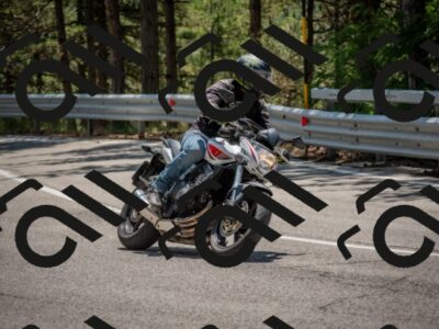 202507191311-DSC_7830_c4_