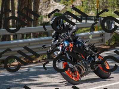 202507191319-DSC_7920_c4_