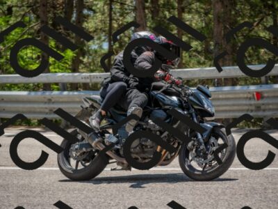 202507191328-DSC_7992_c4_