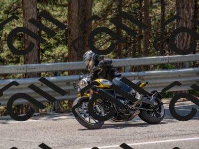 202507191339-DSC_8043_c4_