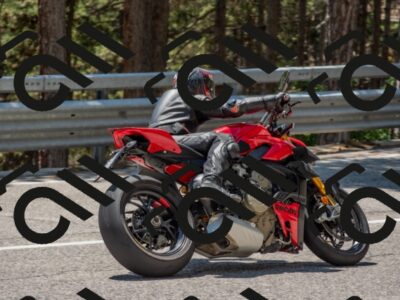 202507191339-DSC_8050_c4_