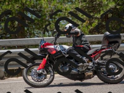 202507191340-DSC_8082_c4_