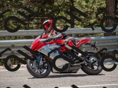 202507191351-DSC_8112_c4_