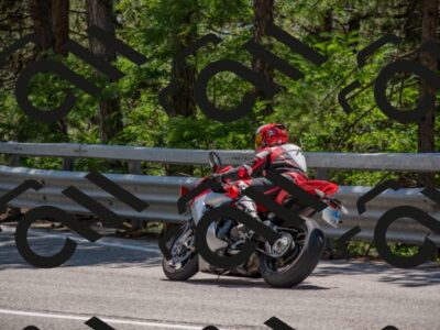 202507191351-DSC_8114_c4_