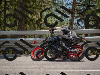 202507191358-DSC_8134_c4_