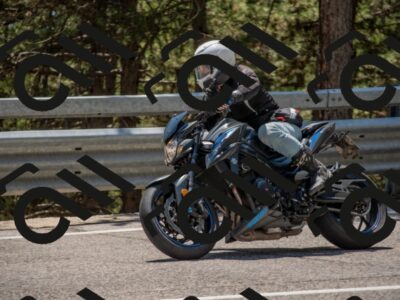 202507191400-DSC_8144_c4_