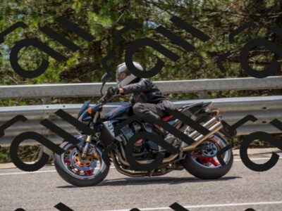 202507191401-DSC_8154_c4_