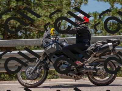 202507191401-DSC_8158_c4_