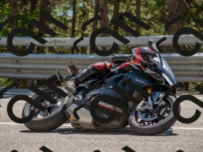 202507191404-DSC_8173_c4_