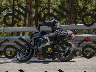 202507191407-DSC_8204_c4_