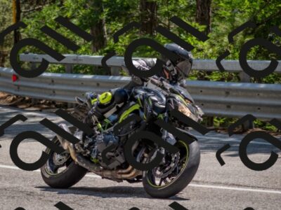 202507191421-DSC_8277_c4_