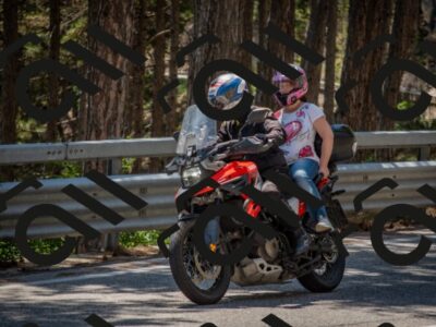 202507191425-DSC_8292_c4_