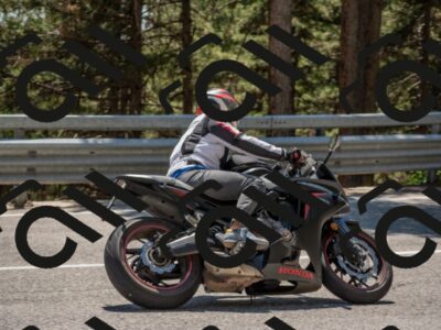 202507191428-DSC_8299_c4_