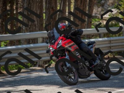 202507191431-DSC_8303_c4_