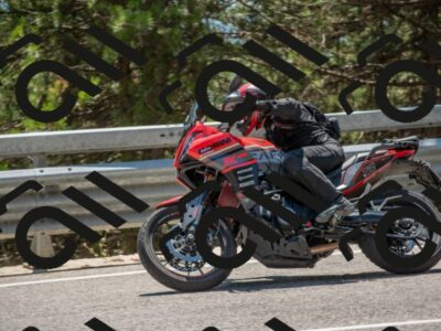 202507191431-DSC_8304_c4_