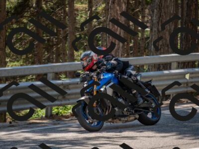 202507191449-DSC_8340_c4_