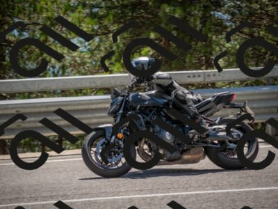 202507191450-DSC_8353_c4_