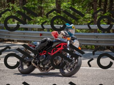 202507191450-DSC_8365_c4_