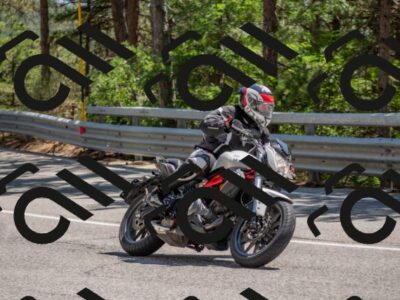 202507191451-DSC_8369_c4_