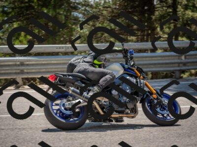 202507191452-DSC_8394_c4_