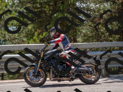 202507191453-DSC_8420_c4_