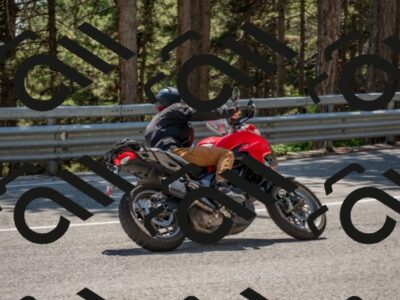 202507191458-DSC_8437_c4_