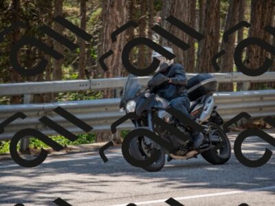 202507191458-DSC_8441_c4_