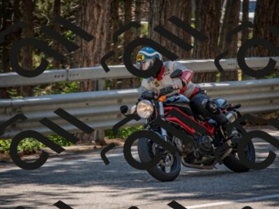 202507191503-DSC_8464_c4_