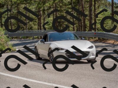 202507191508-DSC_8521_c4_