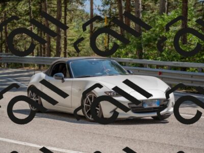 202507191508-DSC_8522_c4_