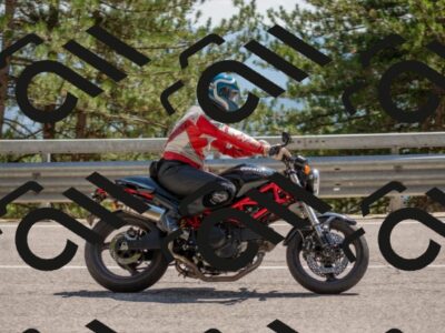 202507191517-DSC_8594_c4_