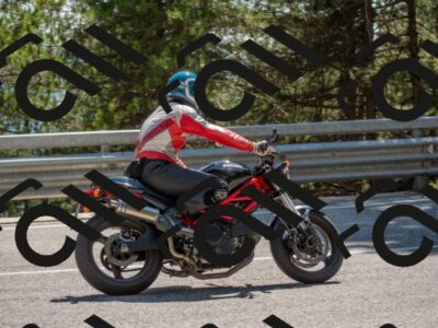 202507191517-DSC_8595_c4_