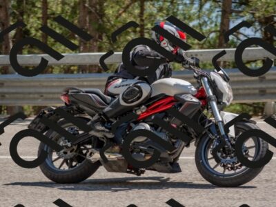 202507191518-DSC_8597_c4_