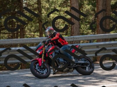 202507191522-DSC_8615_c4_