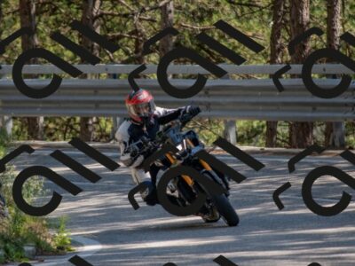 202507191541-DSC_8742_c4_