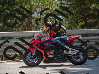 202507191545-DSC_8778_c4_