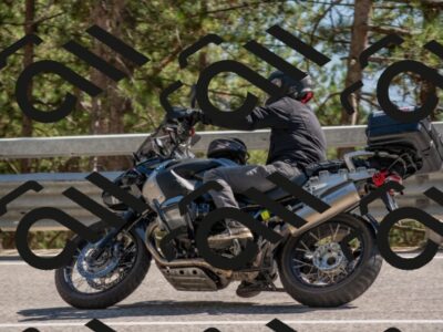 202507191606-DSC_8881_c4_