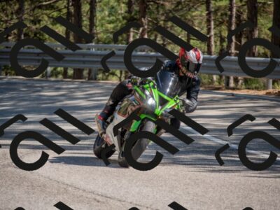 202507191610-DSC_8944_c4_