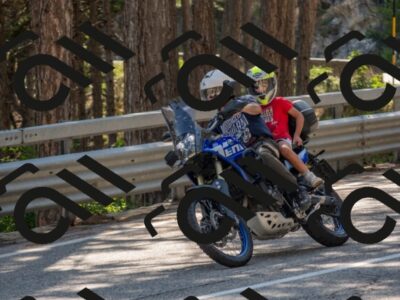 202507191611-DSC_8952_c4_