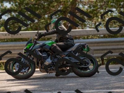 202507191613-DSC_8965_c4_