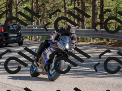 202507191617-DSC_8993_c4_