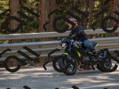 202507191619-DSC_9012_c4_