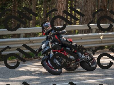 202507191635-DSC_9107_c4_