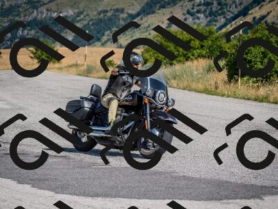 202507201036-DSC_9317_c2