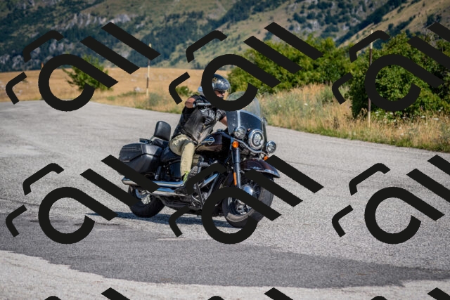 202507201036-DSC_9317_c2