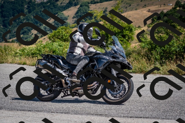 202507201037-DSC_9322_c2